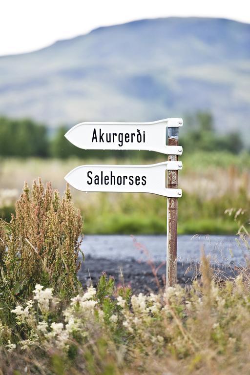 Akurgerthi Guesthouse 2 - Country Life Style Olfus エクステリア 写真