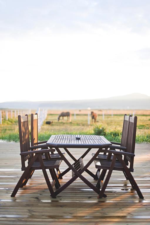 Akurgerthi Guesthouse 2 - Country Life Style Olfus エクステリア 写真