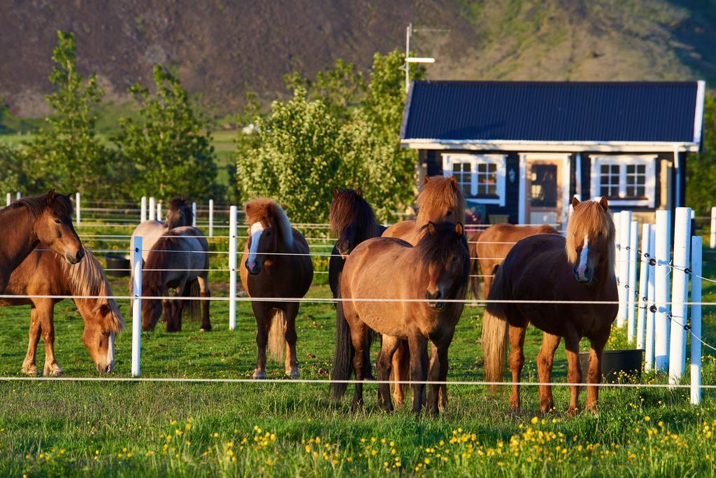 Akurgerthi Guesthouse 2 - Country Life Style Olfus エクステリア 写真