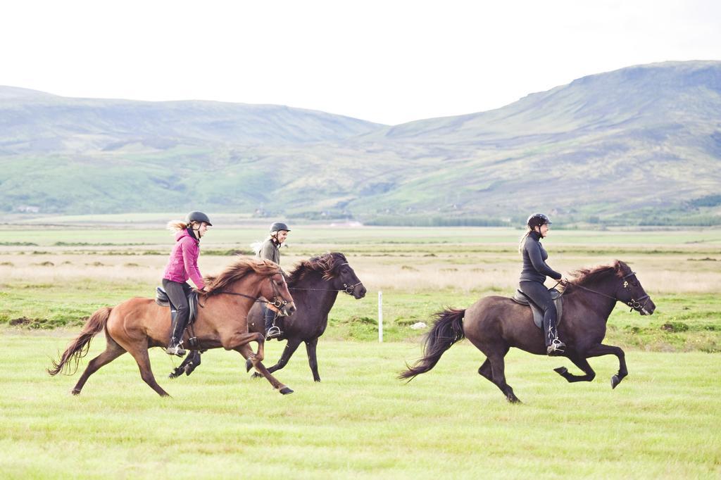 Akurgerthi Guesthouse 2 - Country Life Style Olfus エクステリア 写真
